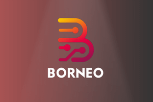 Borneo Schematic - 1 Year 2 User Activation