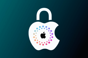 #218 APPLE iPHONE CARRIER  SIM-LOCK  FMI  GSMA Status Check- IMEI/SN